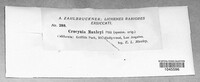 Image Associated With the Occurence